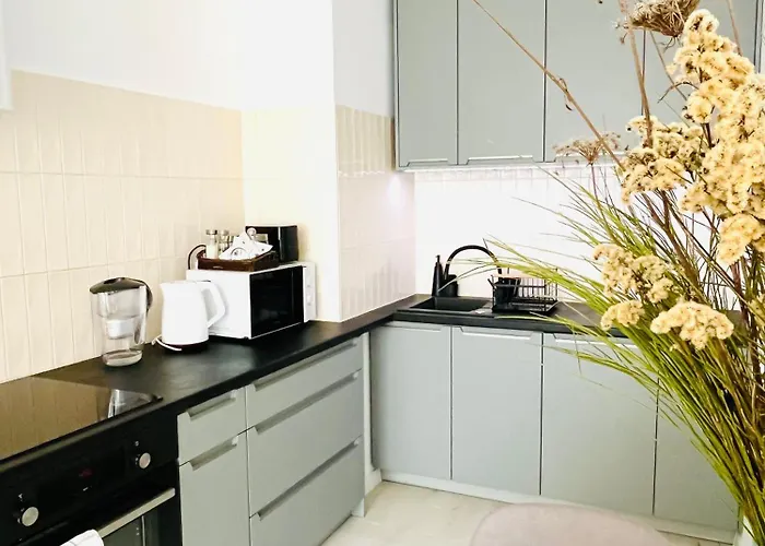 Nowe Apartment, Darmowy Parking, Dostep Na Kod, Winda